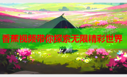 香蕉视频带你探索无限精彩世界