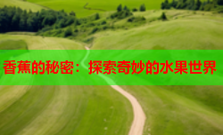 香蕉的秘密：探索奇妙的水果世界