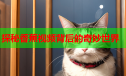 探秘香蕉视频背后的奇妙世界