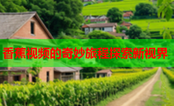 香蕉视频的奇妙旅程探索新视界
