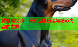 黄香蕉视频：探索无限乐趣与精彩内容的世界