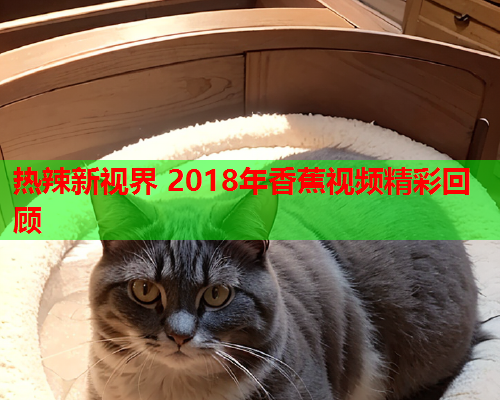 热辣新视界 2018年香蕉视频精彩回顾 第1张 热辣新视界 2018年香蕉视频精彩回顾 第1张
