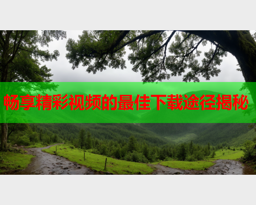 畅享精彩视频的最佳下载途径揭秘  第1张