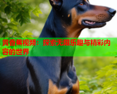 黄香蕉视频：探索无限乐趣与精彩内容的世界  第1张
